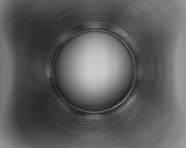 X0000101990833200807251224