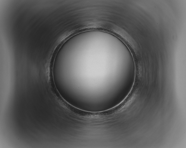 X0000101990834200807251224