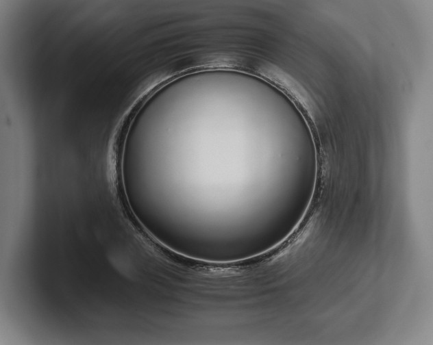 X0000101990835200807251224