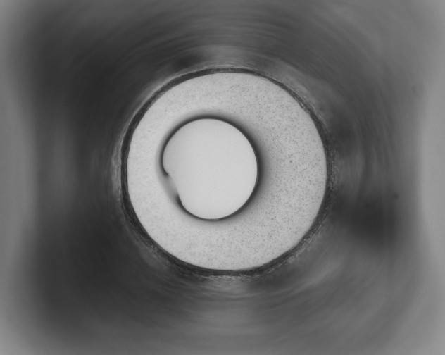 X0000101990836200807251224