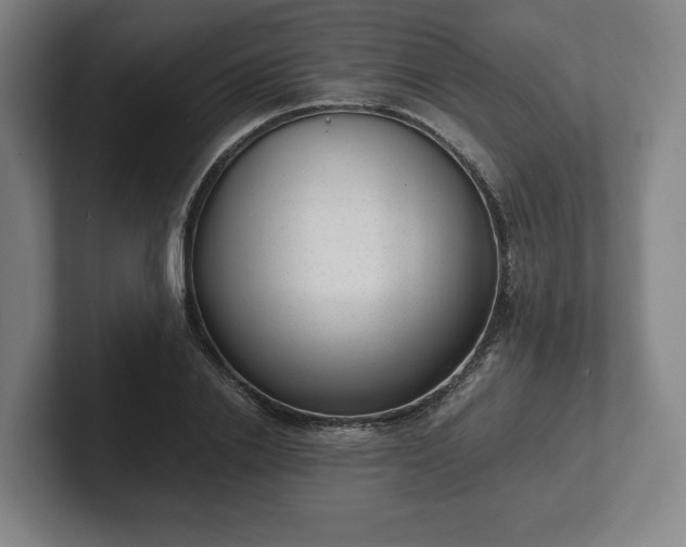 X0000101990838200807251224