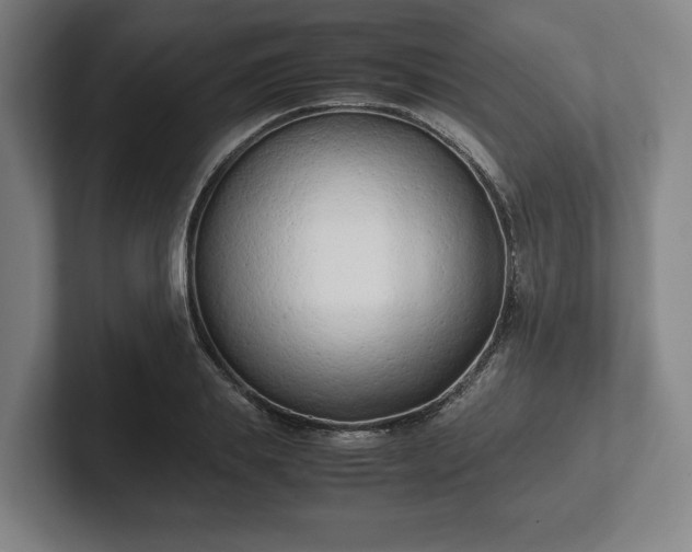 X0000101990839200807251224