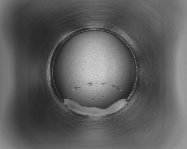 X0000101990840200807251224