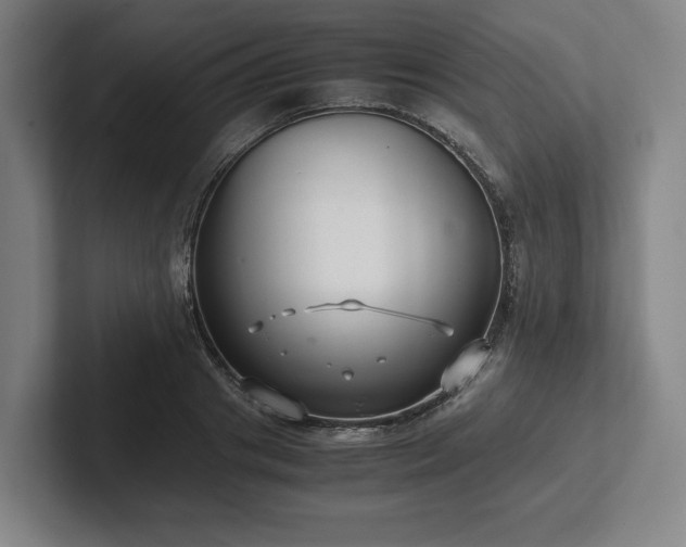 X0000101990841200807251224