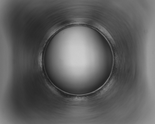 X0000101990842200807251224