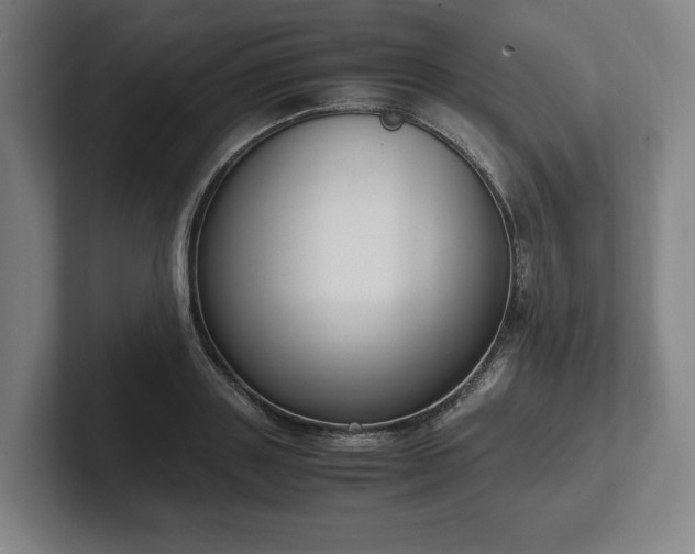 X0000101990843200807251224