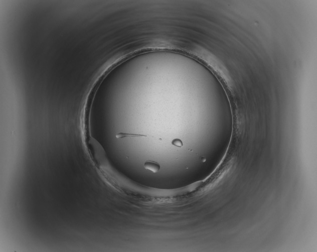 X0000101990845200807251224