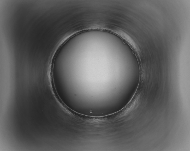 X0000101990847200807251224