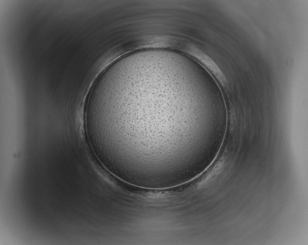 X0000101990850200807251224
