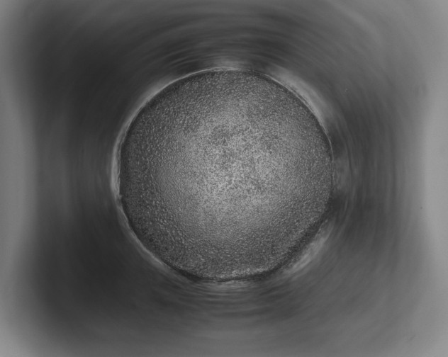 X0000101990851200807251224