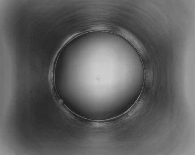 X0000101990852200807251224