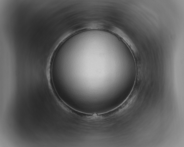 X0000101990853200807251224
