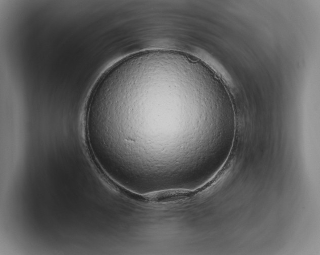 X0000101990854200807251224