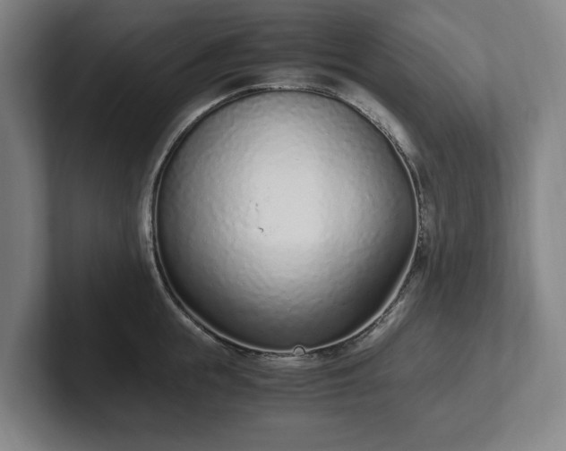 X0000101990855200807251224