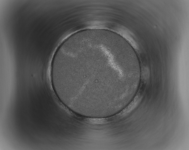 X0000101990856200807251224