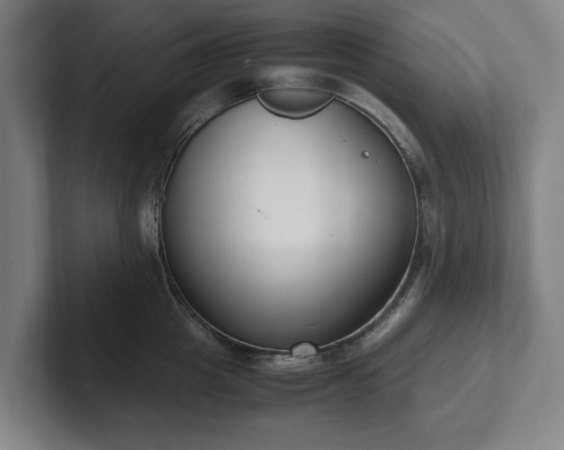 X0000101990857200807251224