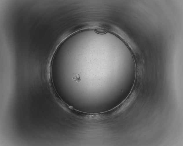 X0000101990858200807251224