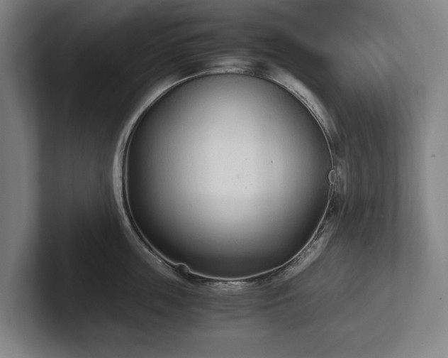 X0000101990859200807251224