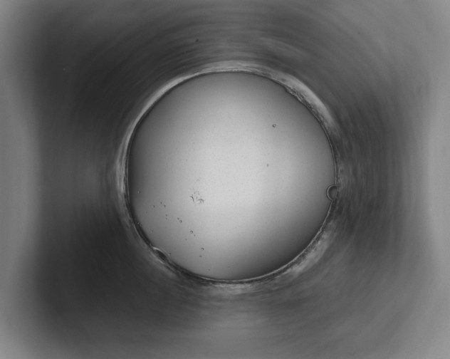 X0000101990860200807251224