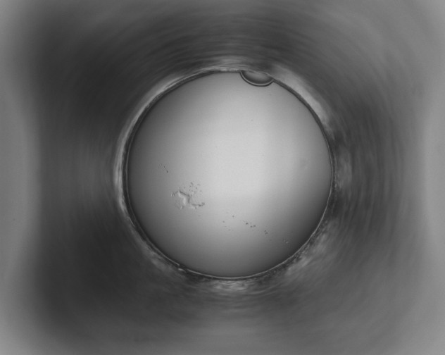 X0000101990861200807251224
