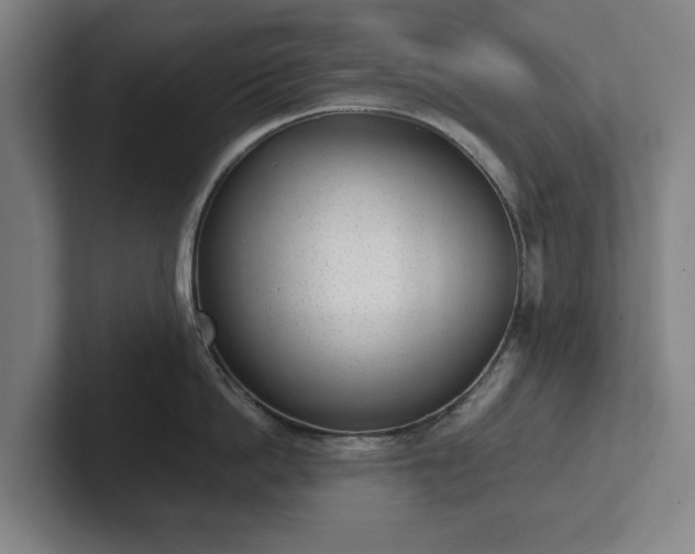 X0000101990862200807251224