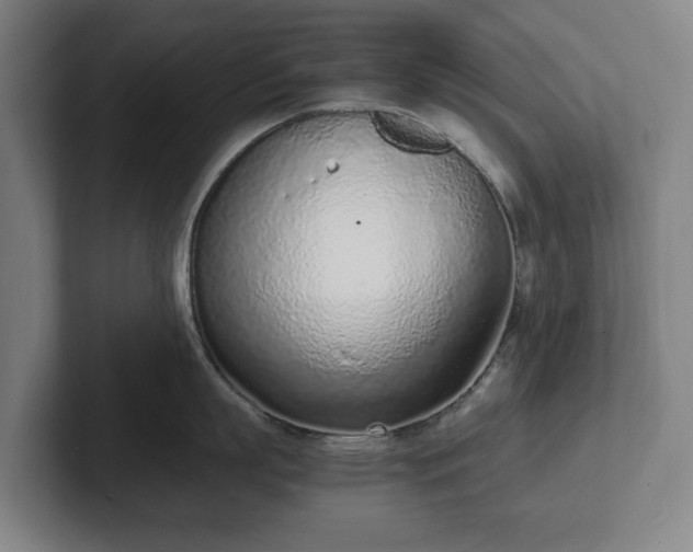 X0000101990863200807251224