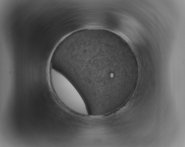 X0000101990864200807251224
