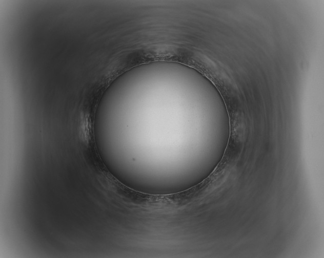 X0000101990866200807251224