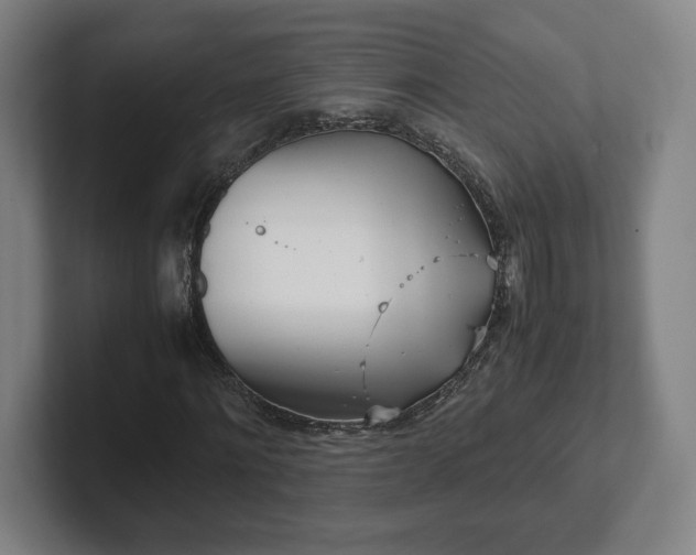 X0000101990868200807251224