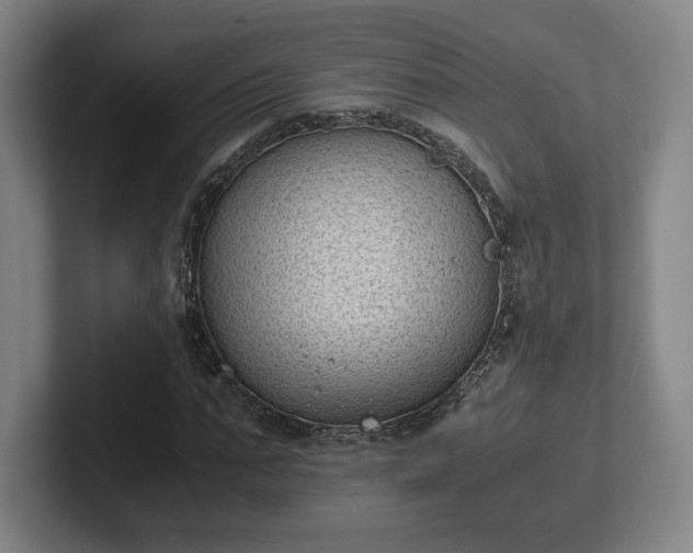 X0000101990871200807251224