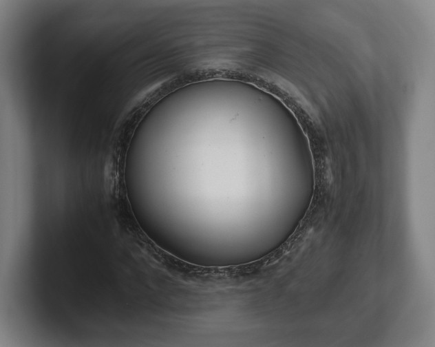 X0000101990872200807251224