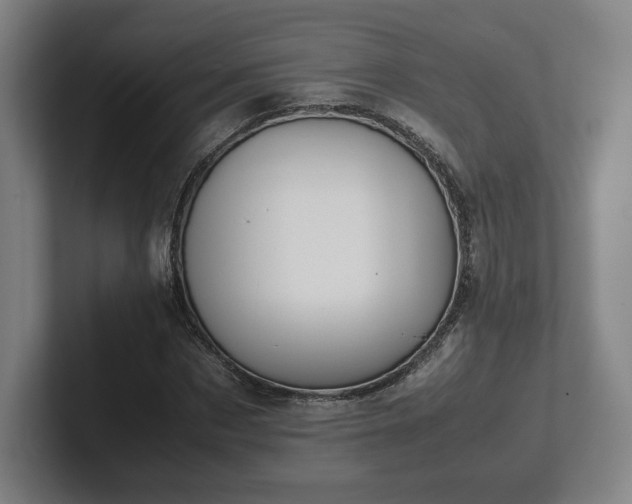 X0000101990873200807251224
