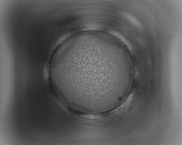 X0000101990874200807251224