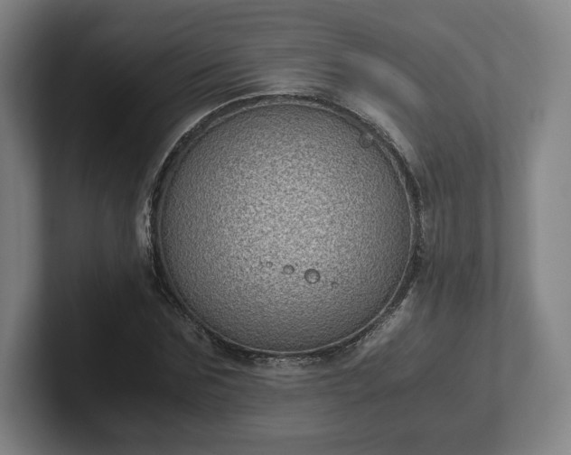 X0000101990875200807251224