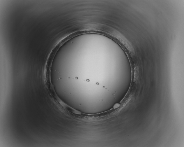 X0000101990876200807251224