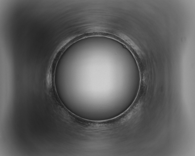 X0000101990877200807251224