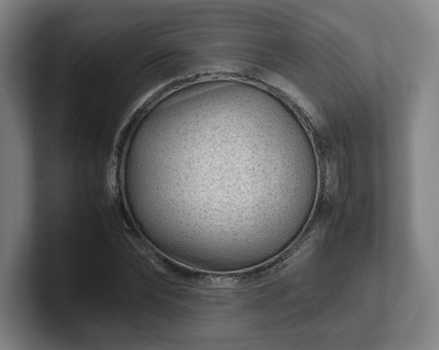 X0000101990878200807251224