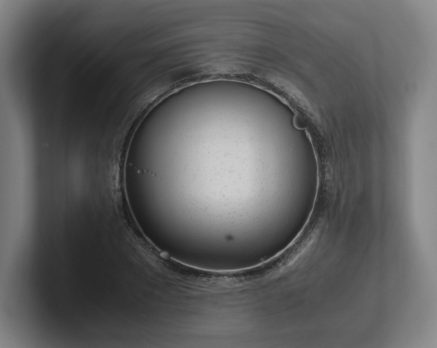 X0000101990881200807251224