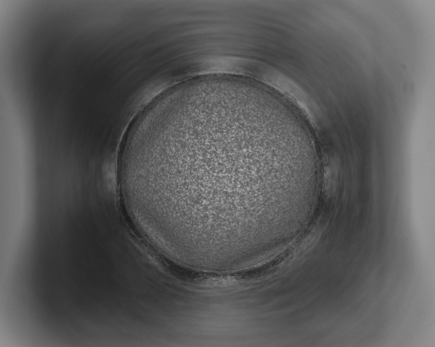 X0000101990882200807251224