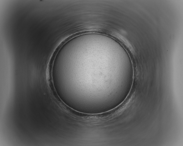 X0000101990883200807251224