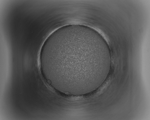 X0000101990887200807251224