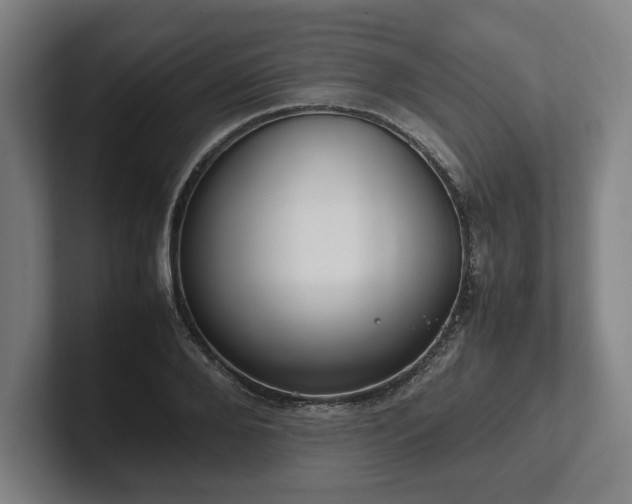 X0000101990888200807251224