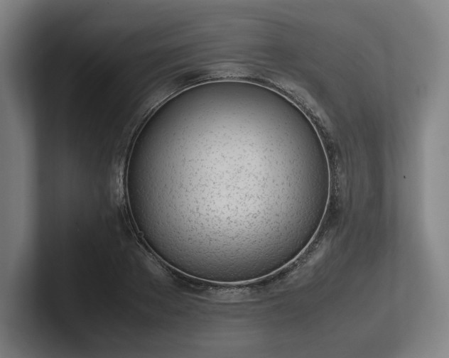 X0000101990889200807251224