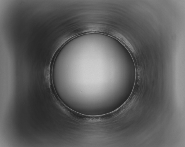 X0000101990890200807251224