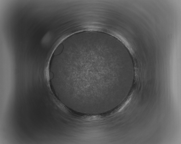 X0000101990891200807251224