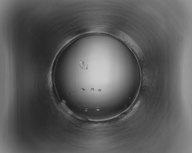 X0000101990892200807251224
