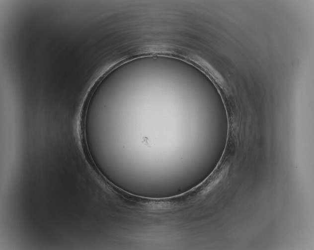 X0000101990893200807251223