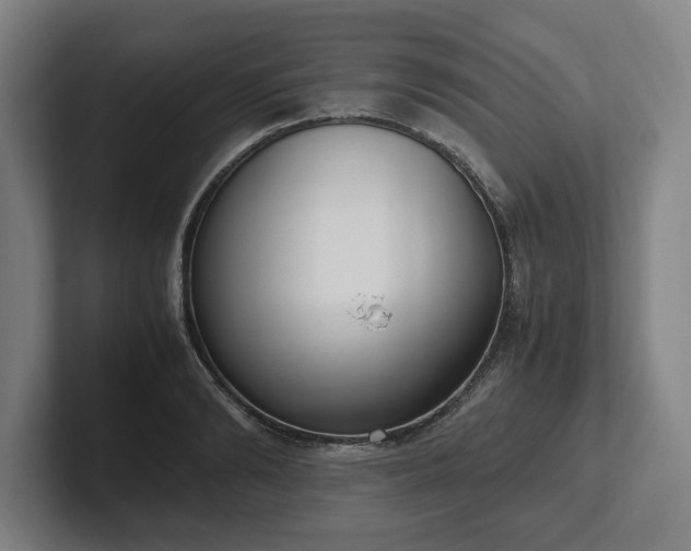 X0000101990894200807251223