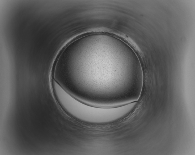 X0000101990895200807251223