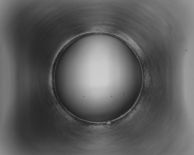 X0000101990896200807251223